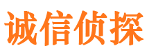 金寨市调查公司